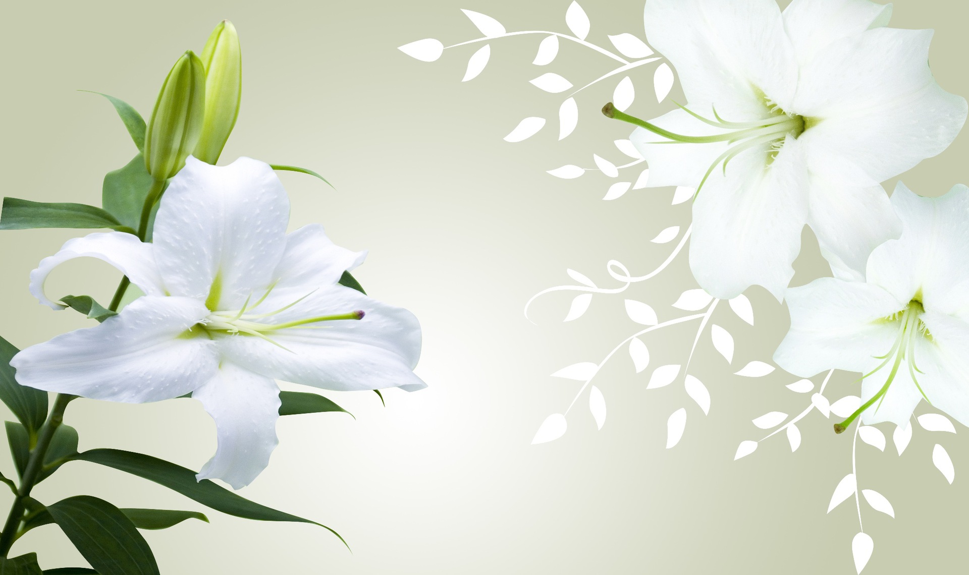 厂家批发田园风电视背景墙纸客厅墙布墙纸批发壁纸百合花墙纸