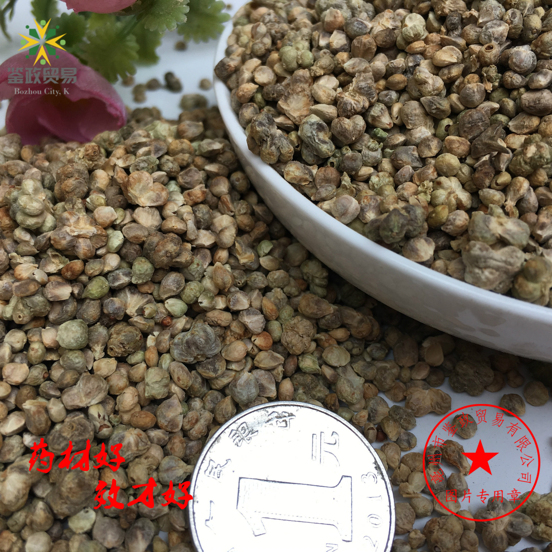 批发 菠菜子 各种果蔬籽类 菠菜籽 量大从优