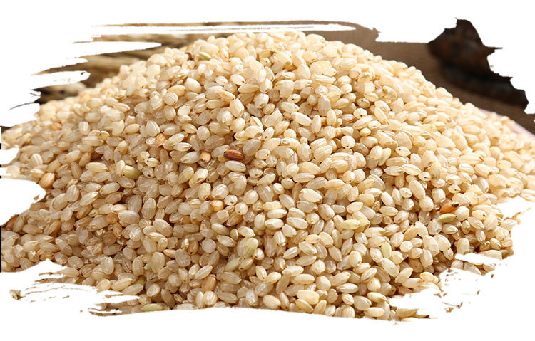 低温烘焙熟糙米 稻花香糙米发芽长粒糙 五谷磨坊养生原料批发