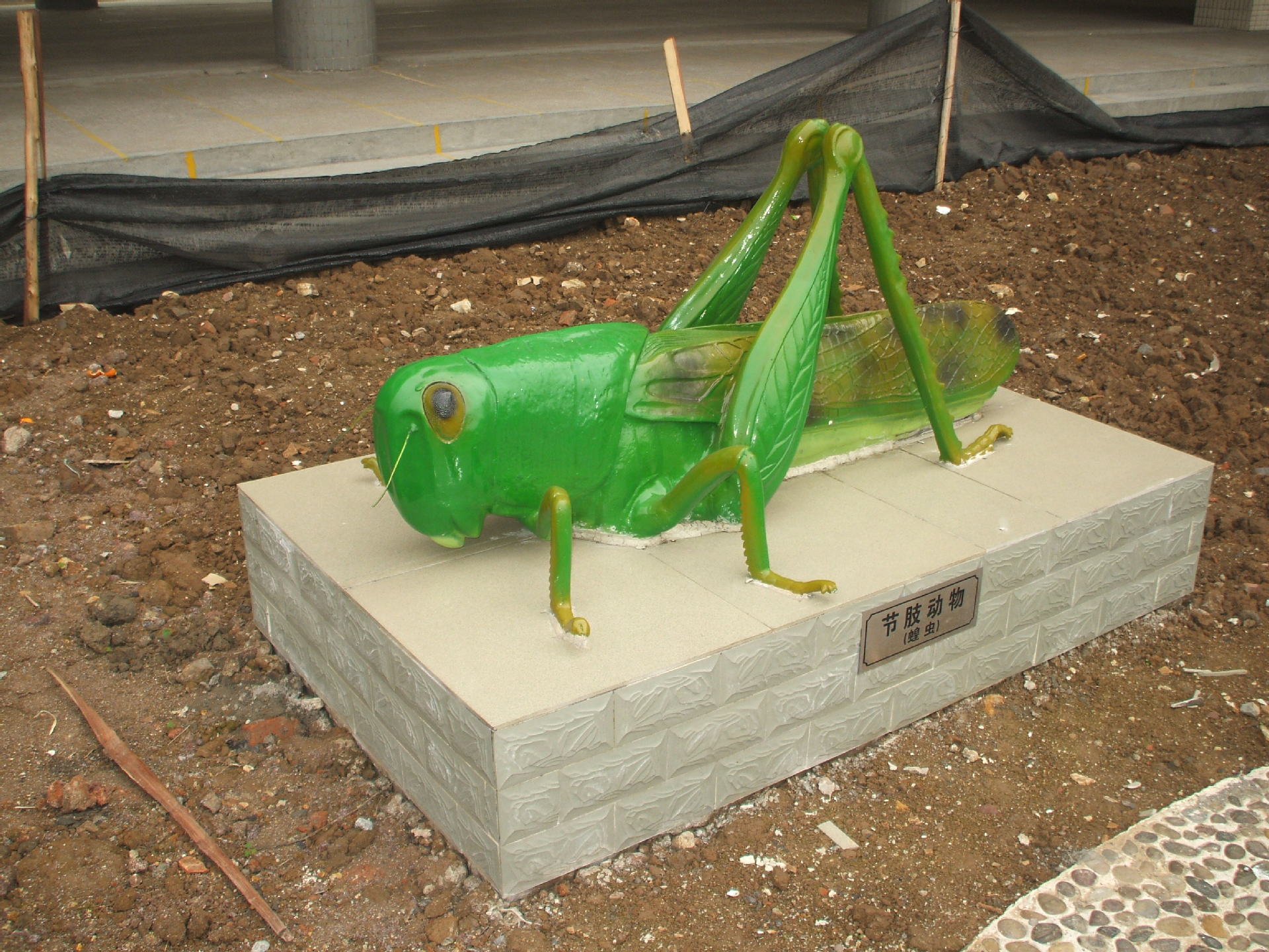 节肢动物 蝗虫模型 生物园建设 室外