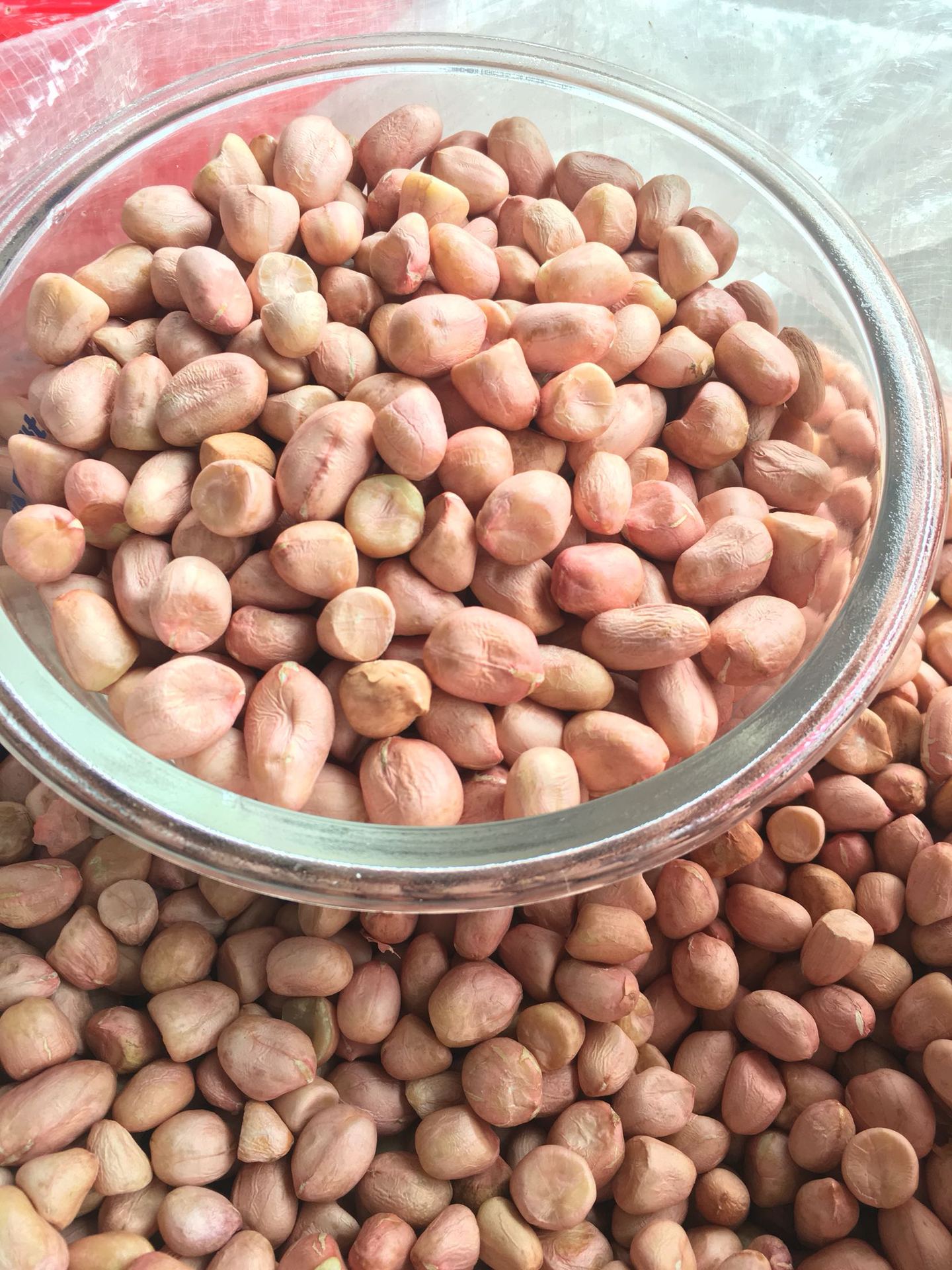 优质东北白沙 生花生米 大白沙 新花生