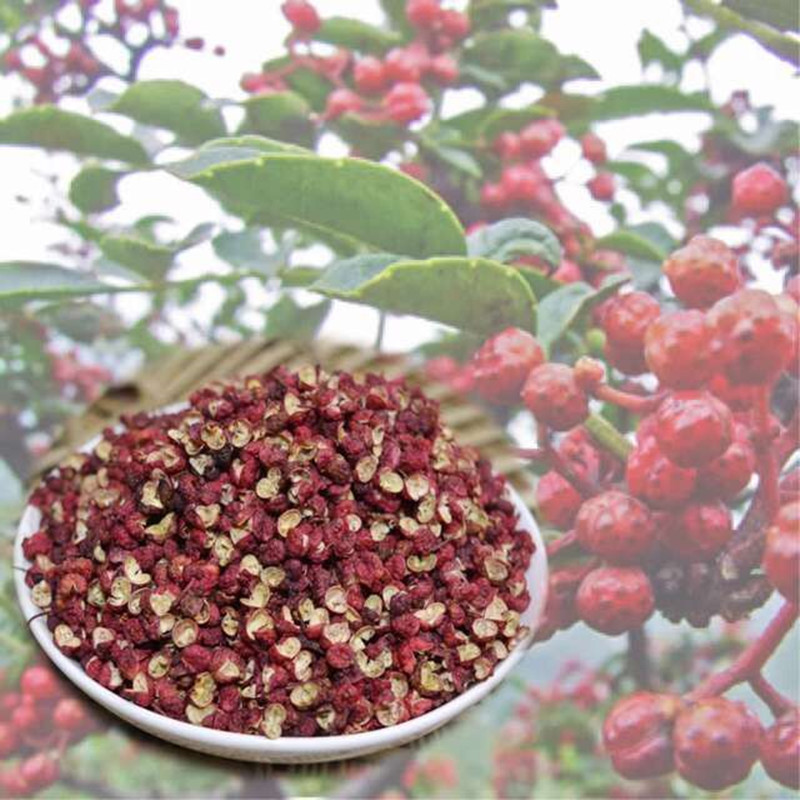 四川汉源大红袍红花椒 麻红花椒 一袋5斤 麻辣烫火锅底料调味料