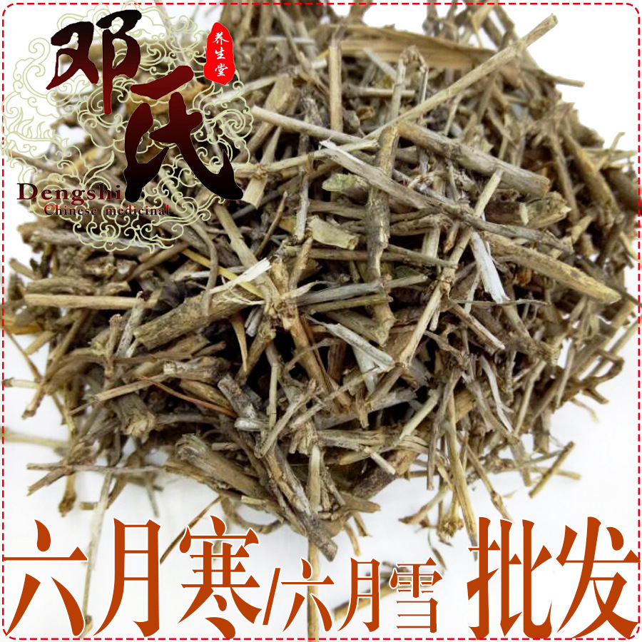 六月寒无硫段1公斤起批散装批发六月雪产地直供邓氏中药材批发