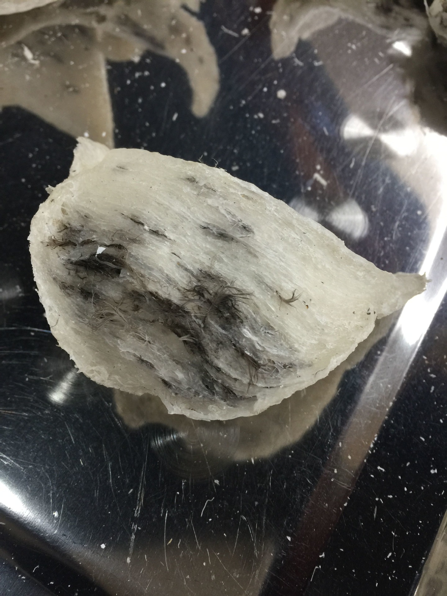 广州燕窝_广州燕窝供应商_广州燕窝批发市场