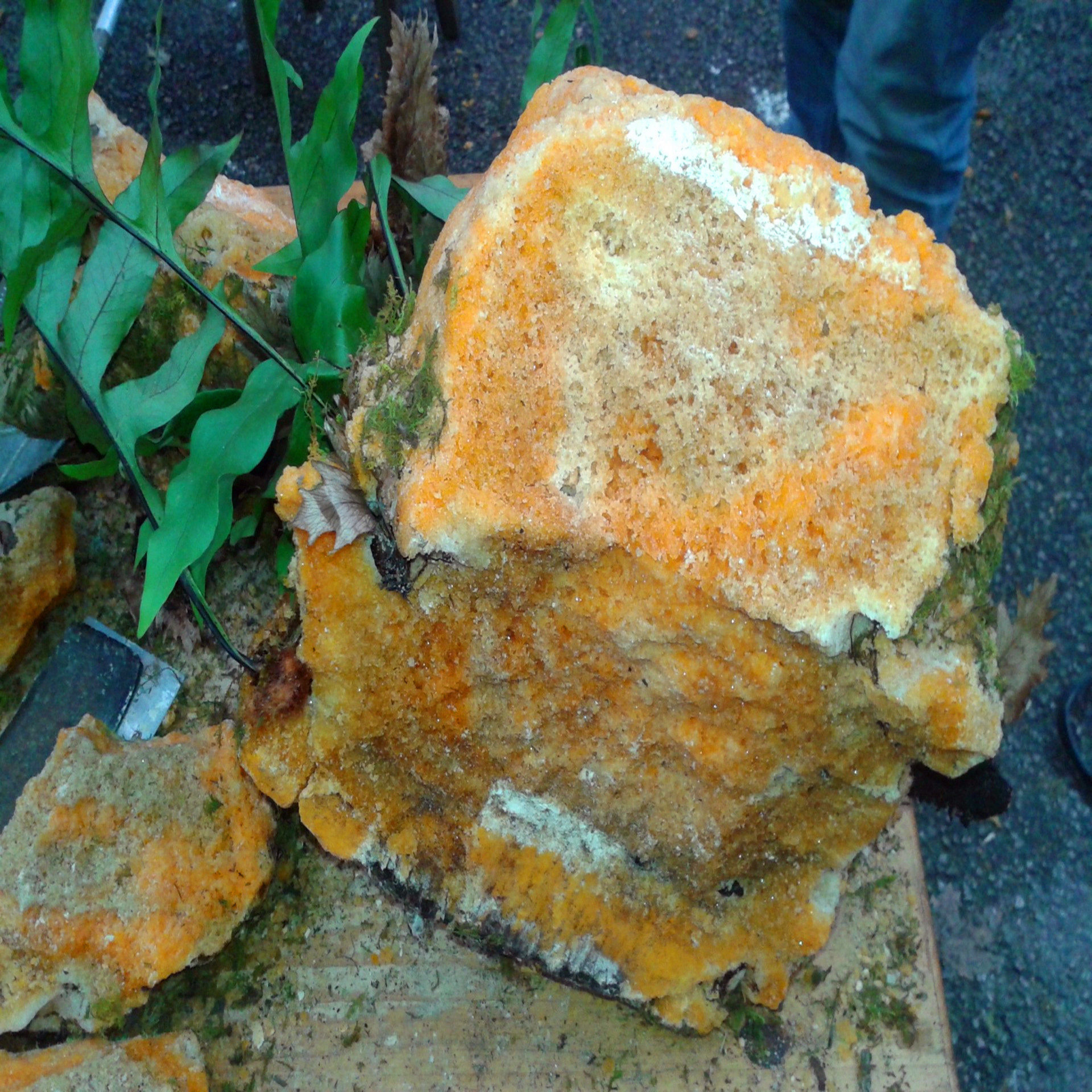 批发岩石蜂蜜 秘制手工石蜜风化蜂巢蜜跑江湖地摊展会暴利产品