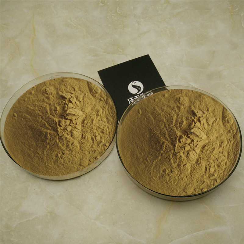 黄柏提取物 10:1 厂家现货直销 天然黄柏粉 保健品食品原料