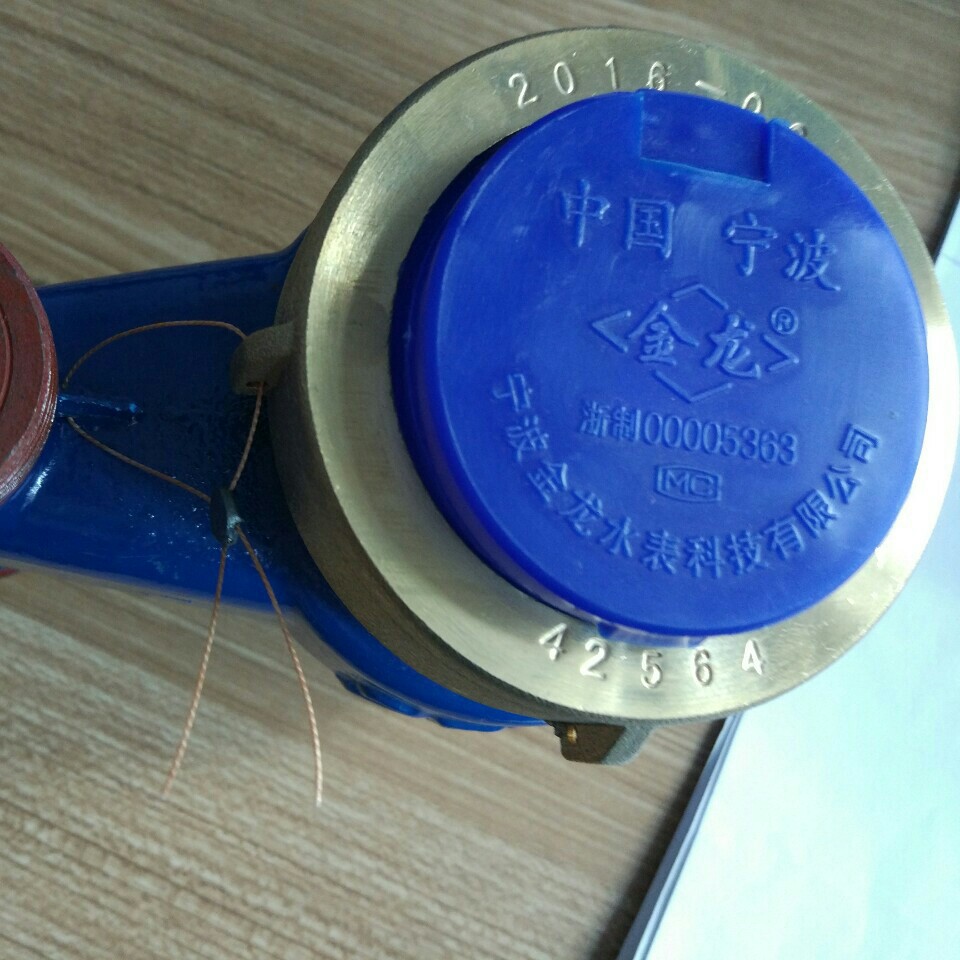 25#立式国标水表