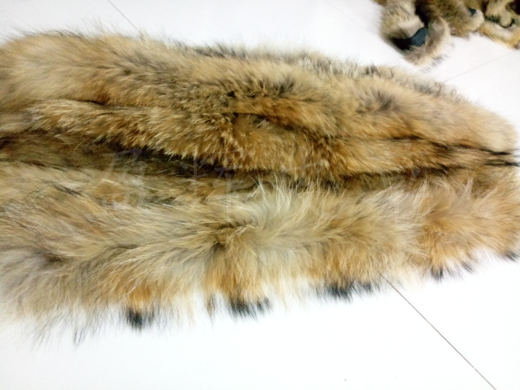 现货供应整皮貉子毛条本色貉子帽条服装帽边真皮草毛条子可定做