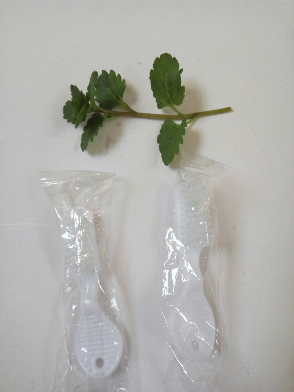 监狱牙刷 看守所关押人员牙刷 服刑人员牙刷