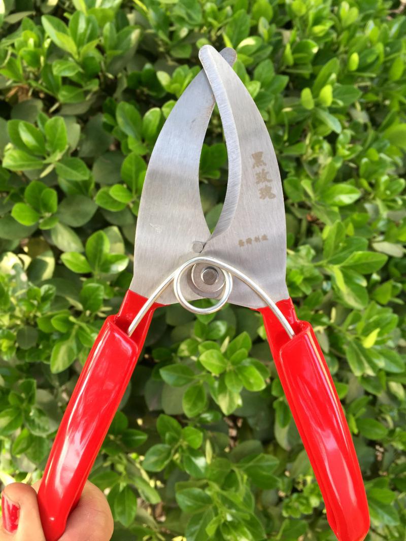 果树环剥刀环割剪苗木葡萄环割刀割树皮刀园林果园环剥剪全国