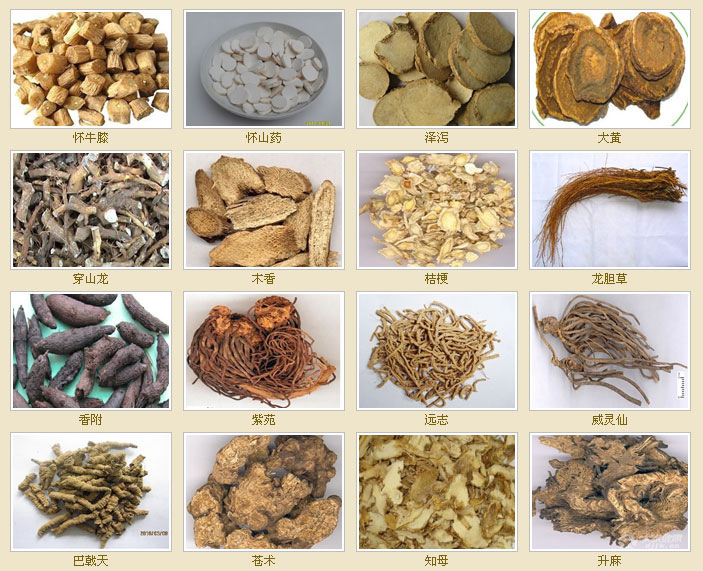 厂家直销dxd520系列 新型 全自动 高速中药饮片包装机械设备