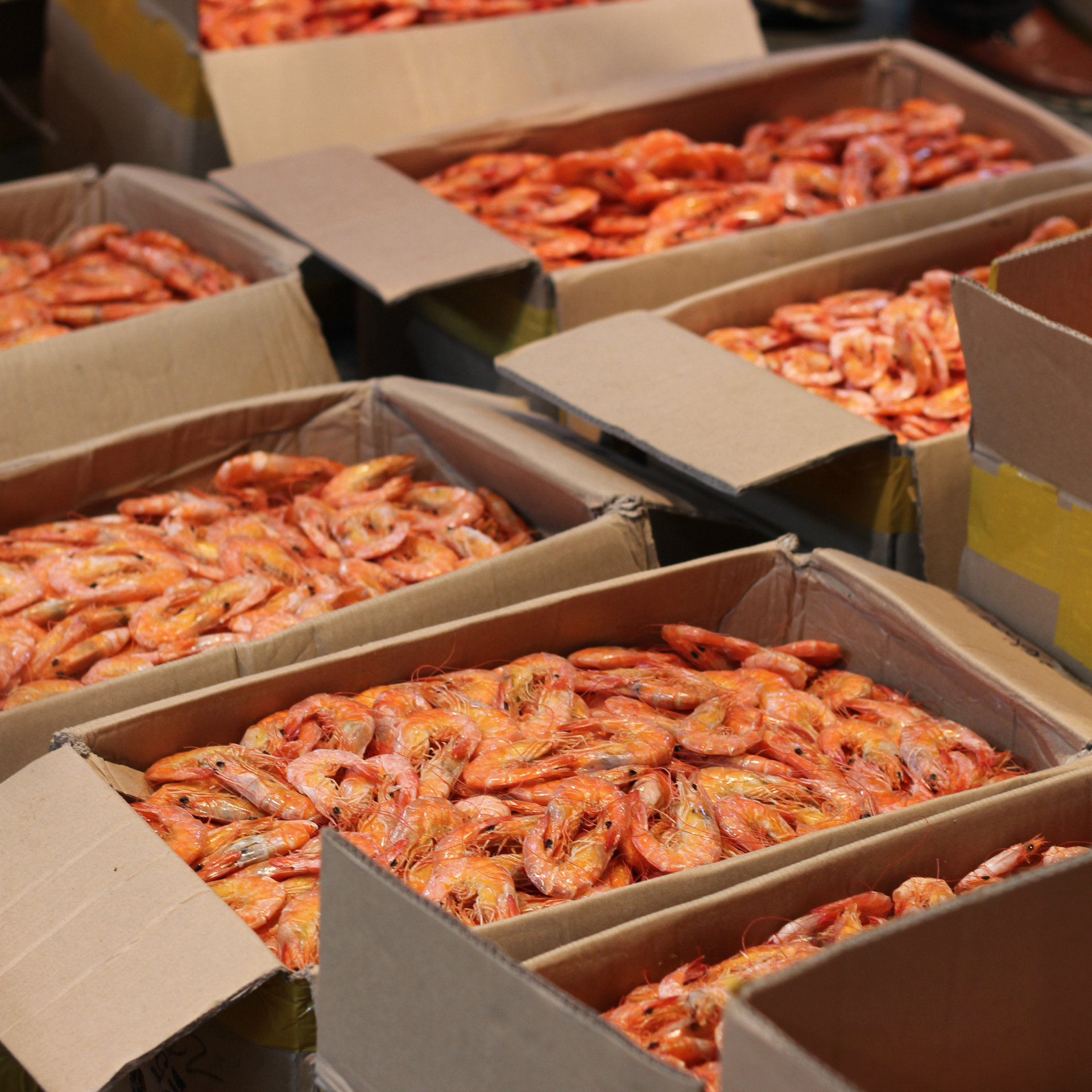 温州特产即食海虾干500g海鲜干货对虾干办公室水产零食小虾.