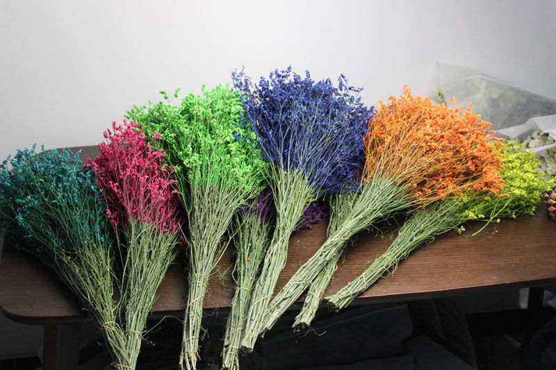 【彩色水晶草】 云南干花 基地直供 八色