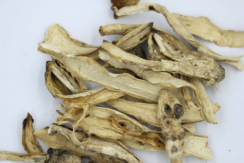 福建土特产 鸡腿菇长腿菇白菇无硫合作社种植干货鸡腿菇 散装批发