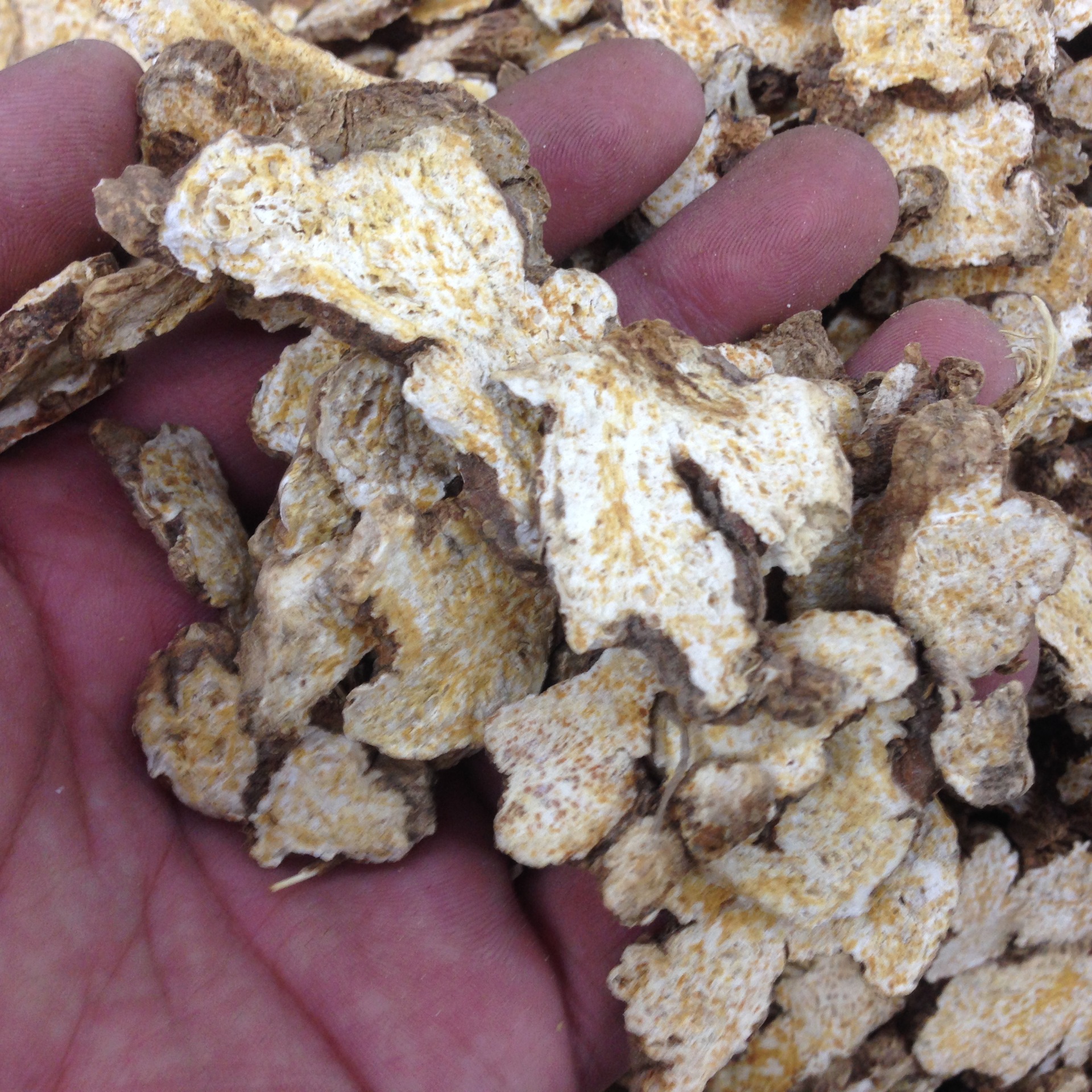 批发中药材苍术 赤术 青术 仙术 苍术粉 燥湿健脾 祛风散寒