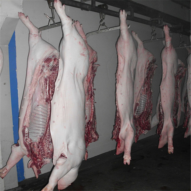 鲜(冻)猪长(短)尾 泓菱食品 厂家**