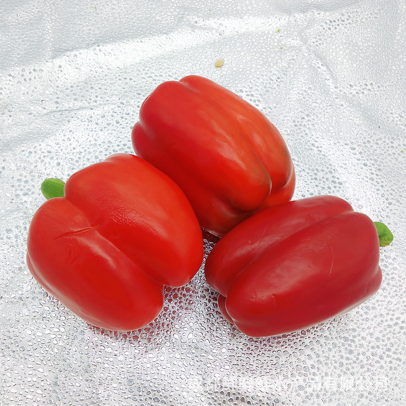 蔬菜 甜椒 直供餐饮酒店 鲜鲜鲜水产品有限公司