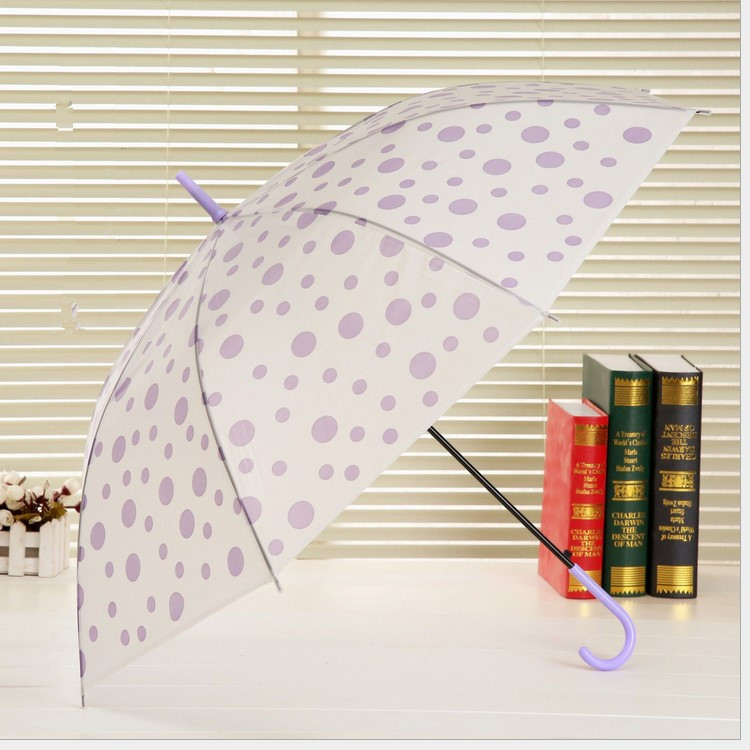 Korean Creative Dot Umbrella Environmental Protection Frosted Transparent Umbrella Straight Rod Long Handle Automatic Umbrella Advertising