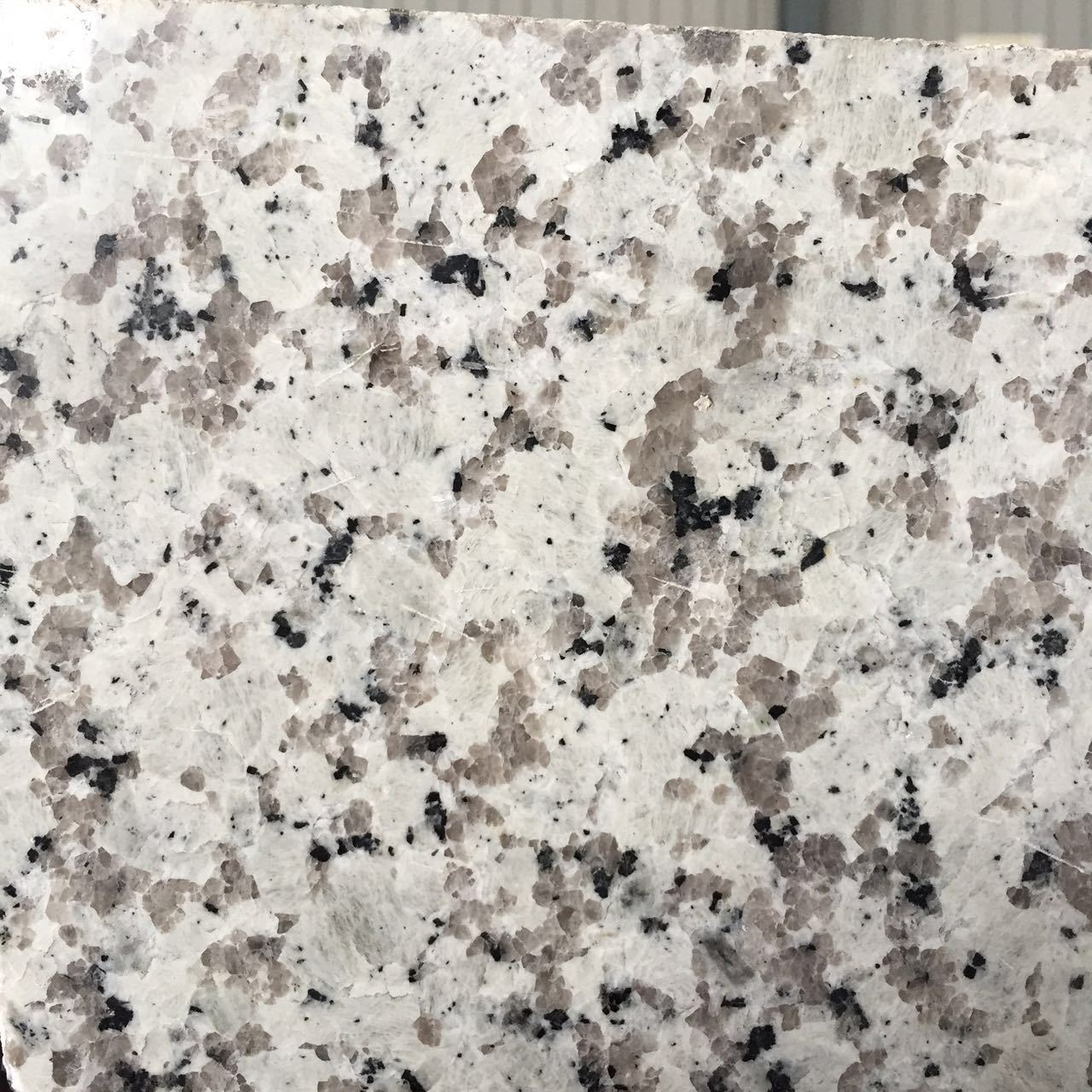 厂家直销主营产品 芭拉白巴拉白花岗岩石材 大量供应 专业大板