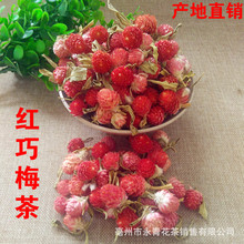 批发供应 红巧梅 妃子红 红巧梅花茶 红巧梅花 永青花草茶