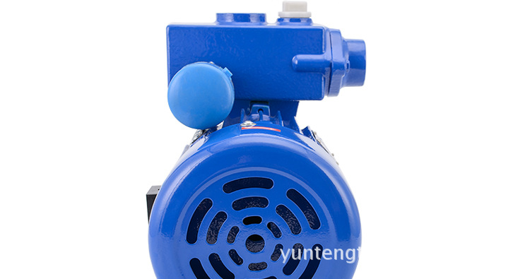 dbz电动单相自吸泵 农用家用增压泵 闽东水泵 口径25mm