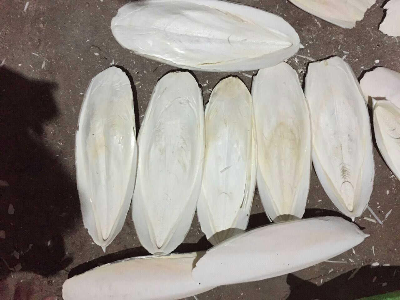 广东中药材_中药材批发 乌贼骨 海螵蛸 墨鱼骨 三证齐全 - 阿里巴巴