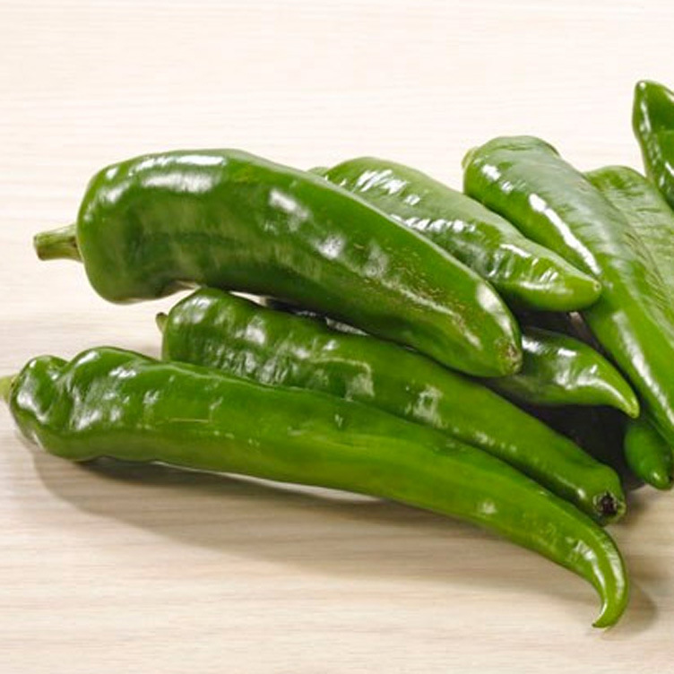 地大棚种植大果型优质尖椒青椒500克超大尖椒产地批发