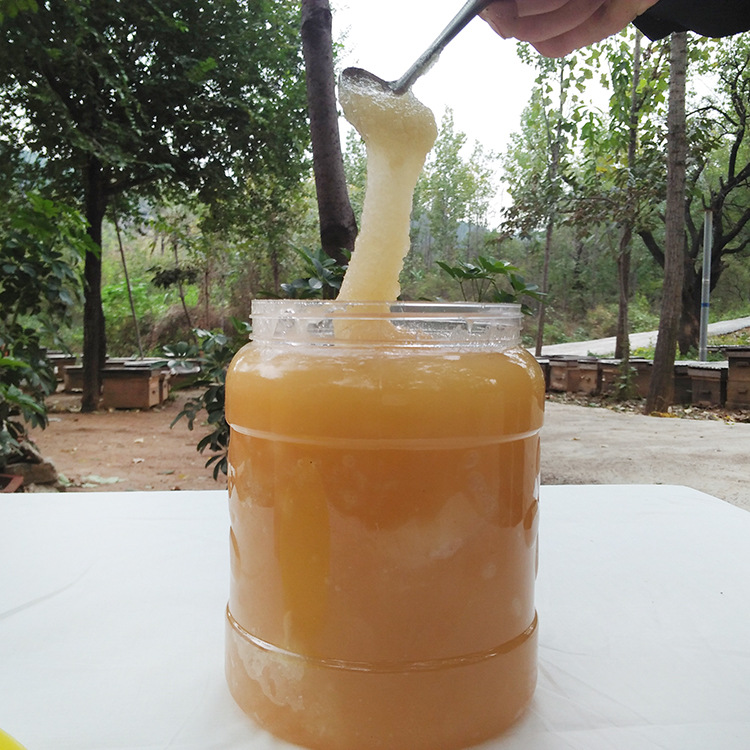 农家结晶蜜土蜂蜜 槐花蜂蜜 3000g槐花蜜 青州蜂场批发