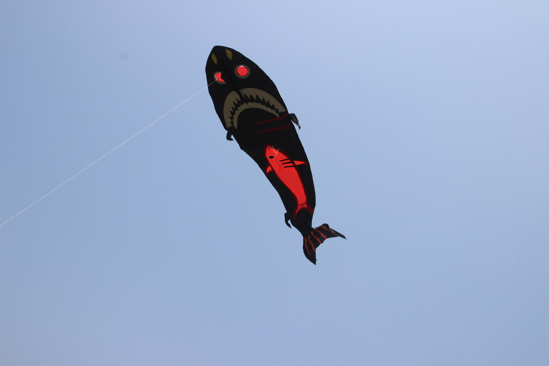 子母鲨鱼风筝 潍坊风筝 成人儿童风筝 卡通风筝厂家直销 风筝批发