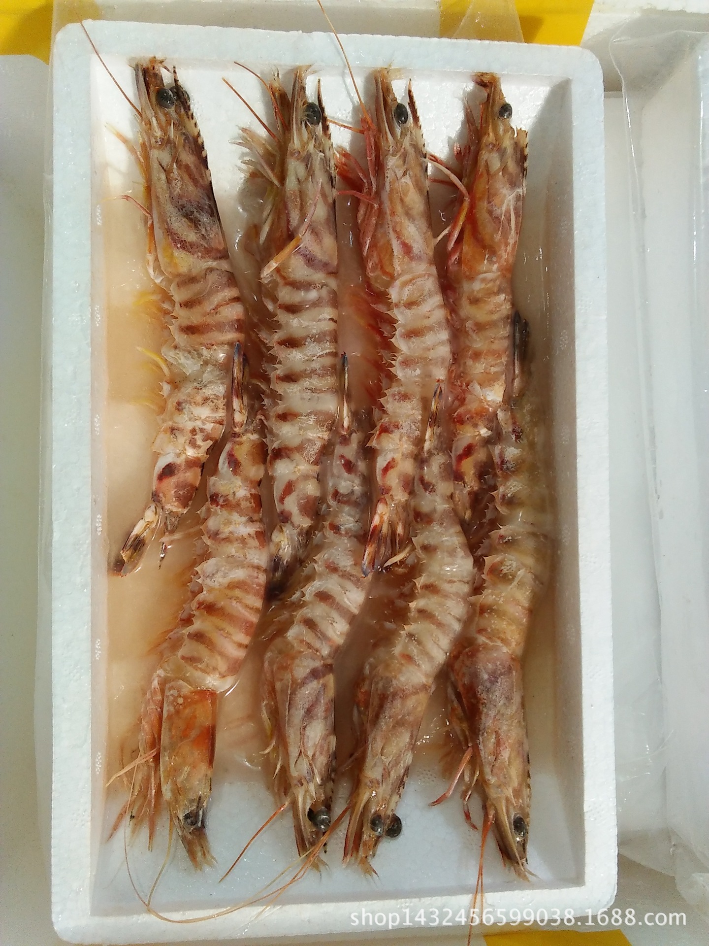 海洋捕捞东海海虾冷冻海鳌虾条冻条虾每斤500g1620条