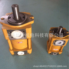 NT4-G63F齿轮泵 CJ 高压内啮合油泵 液压泵