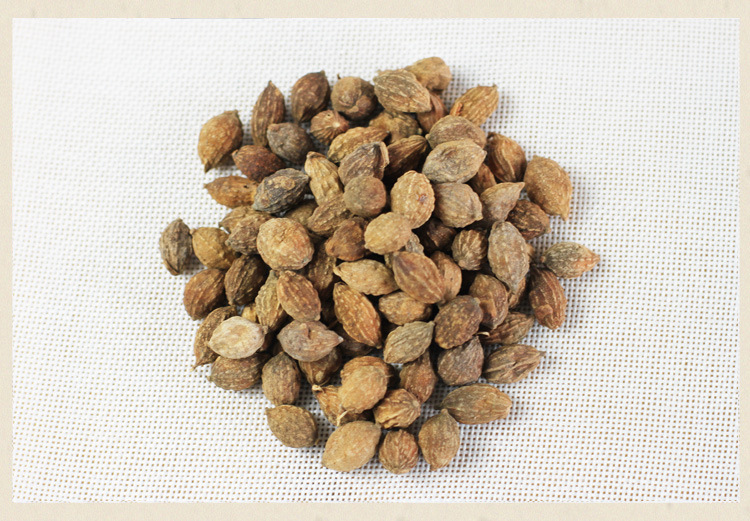 厂家直销 中药材益智仁 益智 无硫干净 品种齐全 产地直销