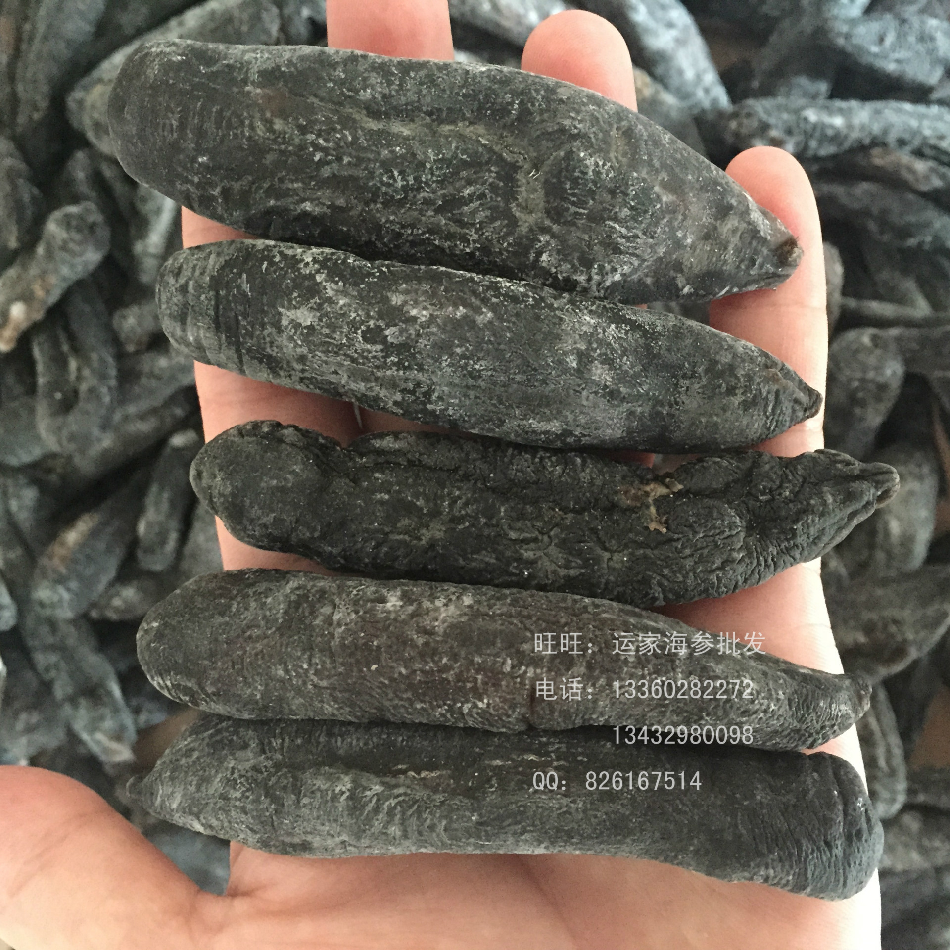 去皮海茄子参批发无泥巴紫黑茄子参肚子干净 8成干海参批发