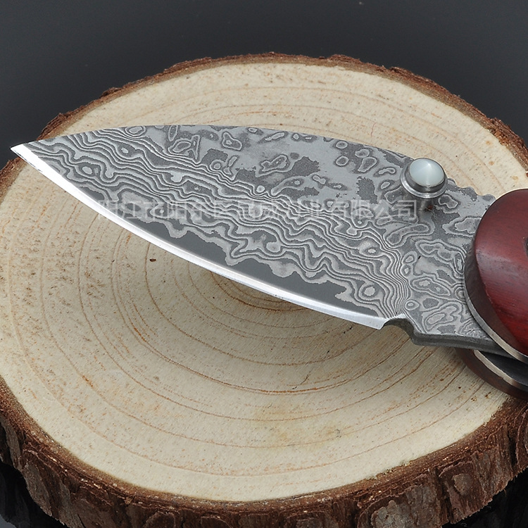 厂家直销 多功能户外小刀 啄木鸟锋利野外野营刀具 折叠小刀