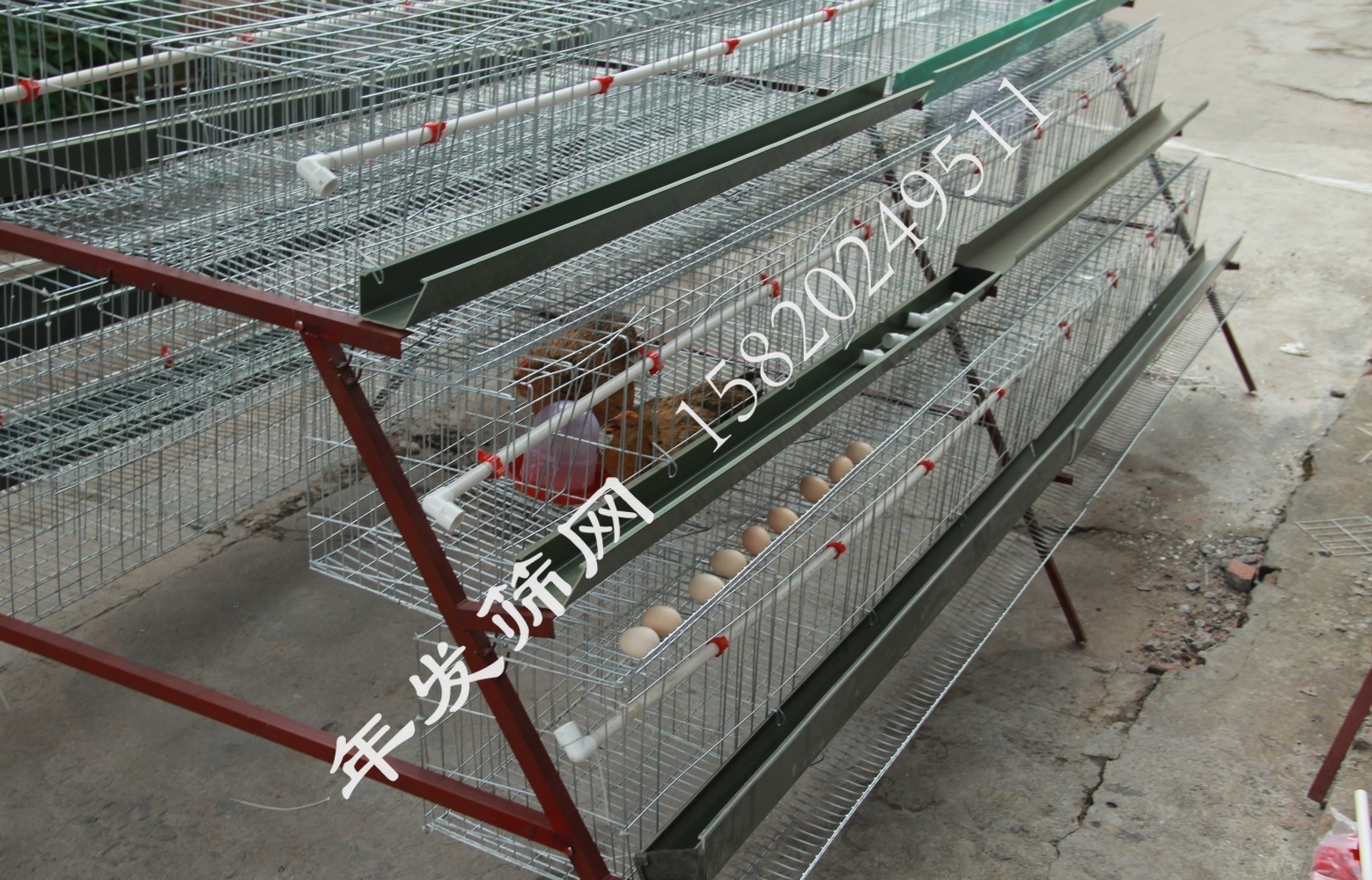 广州蛋鸡笼出口养殖笼子 现货供应镀锌不生锈阶梯式3层蛋鸡笼子