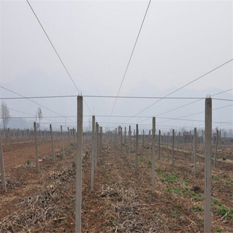 葡萄架钢丝_猕猴桃架子钢丝 45号钢丝厂家批发