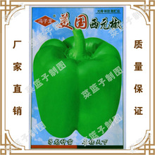 冯子龙蔬菜种子厂家直售批零大田基地大棚四季种植 美国西元椒