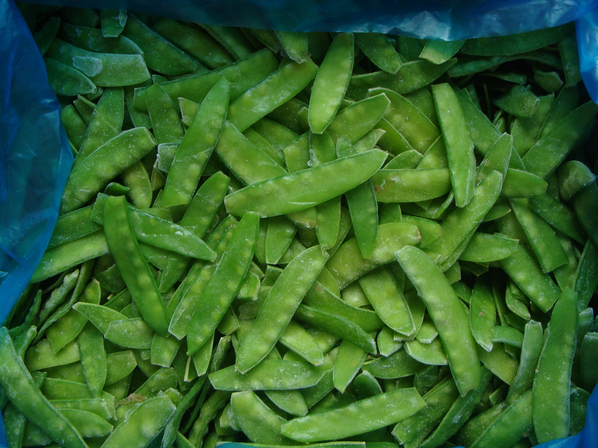 明达公司供应荷兰豆甜豆菜豌豆