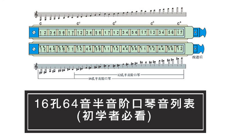 原装正品东方鼎t1664挑战者16孔半音阶专业音簧高级演奏变调口琴