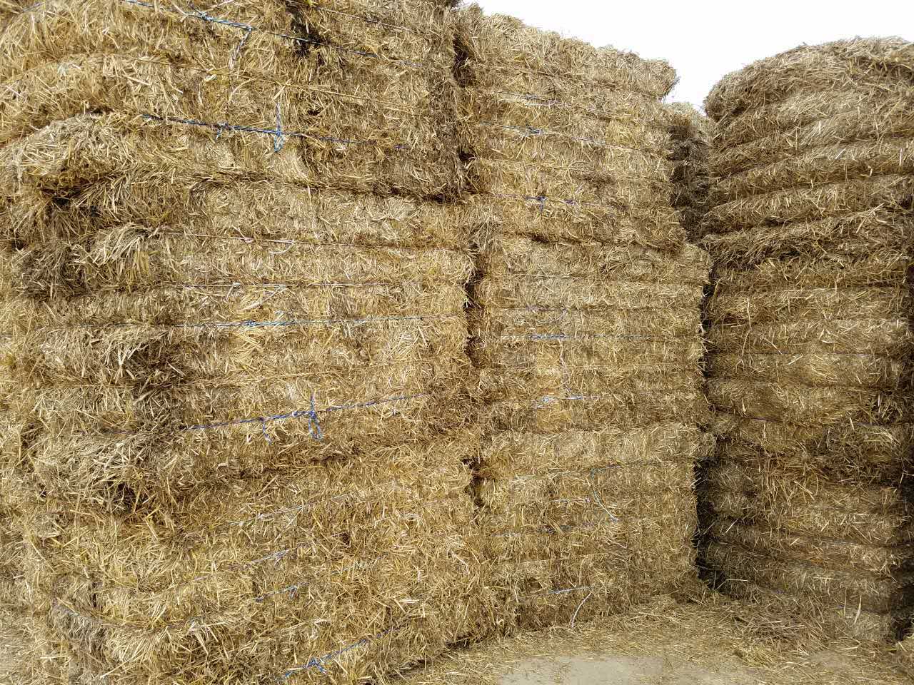 厂家供应 粉碎花生秧 干稻草秸秆 可养牛羊兔子 打捆干稻草