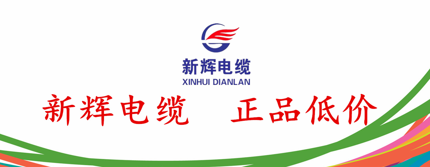 新辉电线电缆rvv34平方国标2芯软护套铜芯电线100米