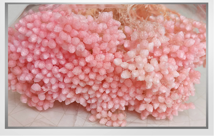 云南永生花花材批发 厂家仿真永生花保鲜花直销 米花 配材