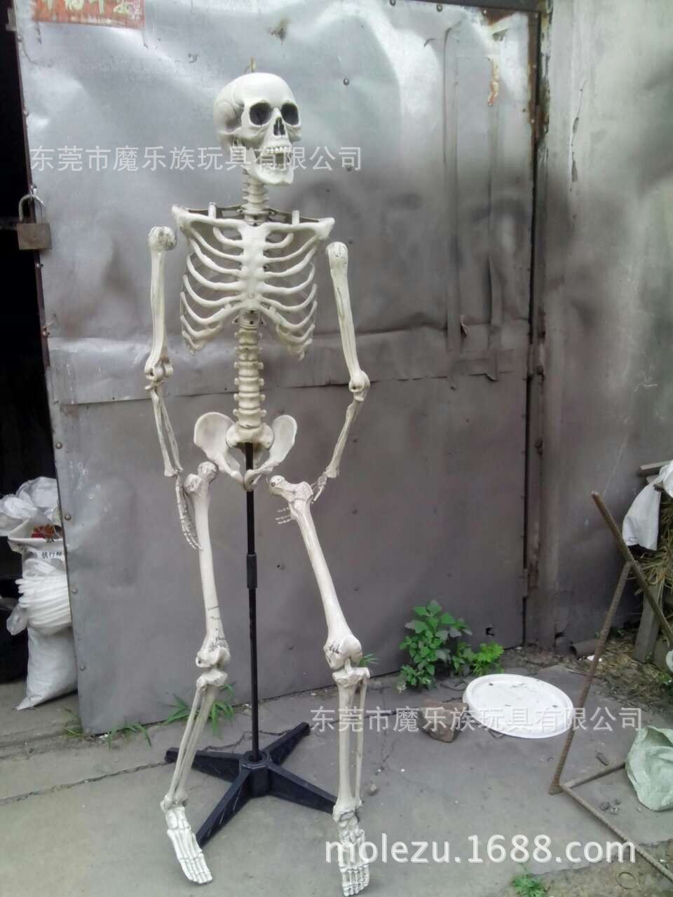 万圣节鬼屋恐怖道具密室逃脱装饰盗墓仿真塑料人体骷髅骨架头支架