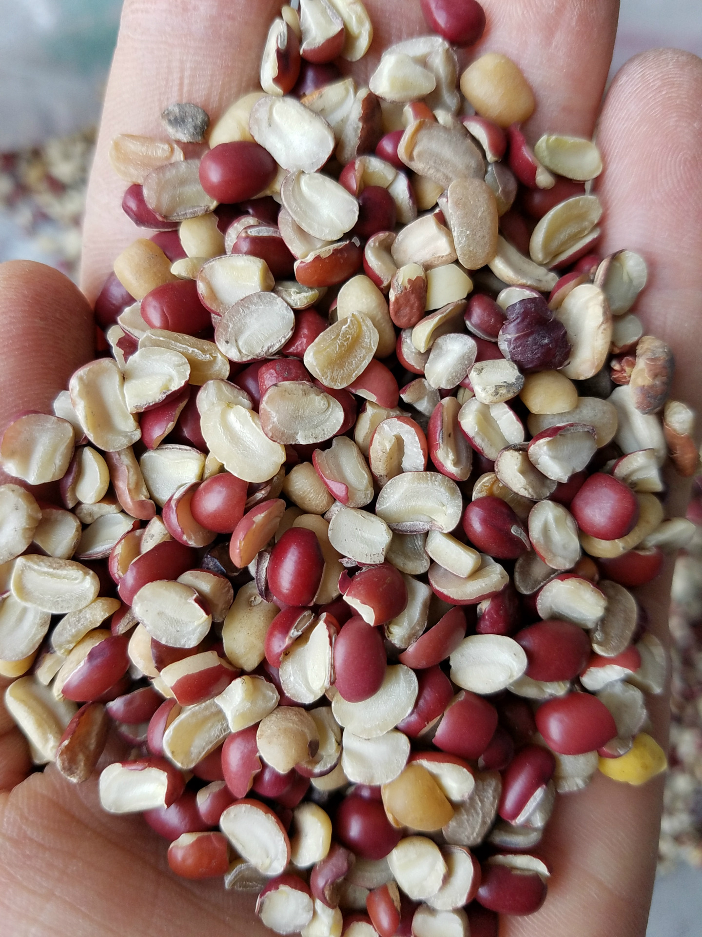 新到2016年优质红小豆 红豆 补血红豆粥 颗粒饱满 批.