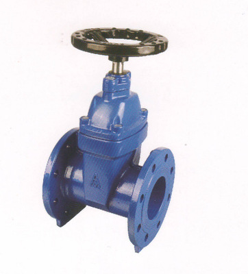 北京埃美柯 9161 球墨铸铁 明杆弹性座封闸阀 dn50-300