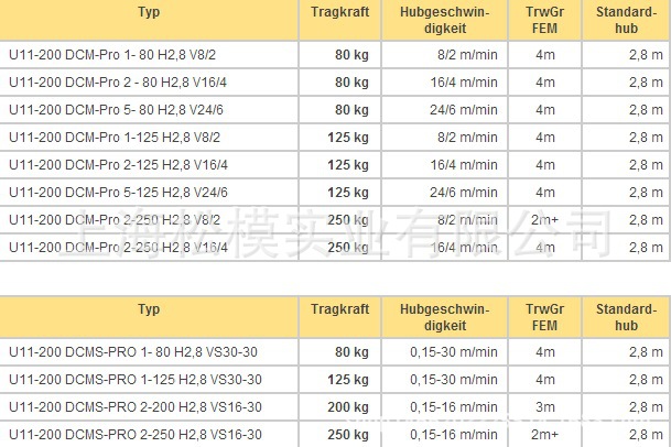 德国原装demag 德马格 环链电动葫芦 dcm-pro系列 环链葫芦