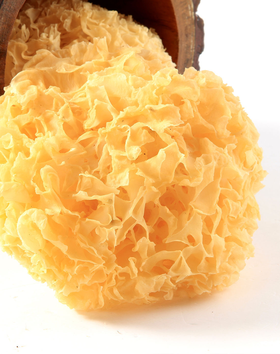 古田 八荒 金唐原色大朵银耳 白木耳 雪耳糯耳 备案基地 出口品质