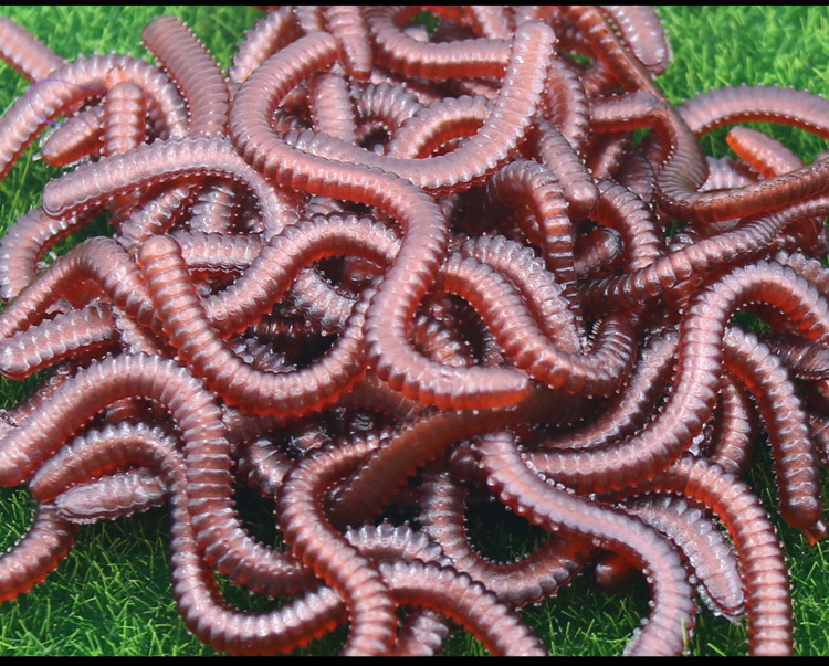 工厂直发带味道沙蚕软饵垂钓假饵 垂钓专用沙蚕假饵仿真饵料 批发