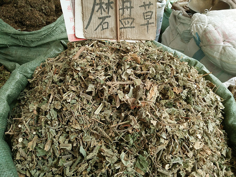 磨盘草/磨盘根/耳响草/磨爿果/石磨仔/磨仔草/磨档草