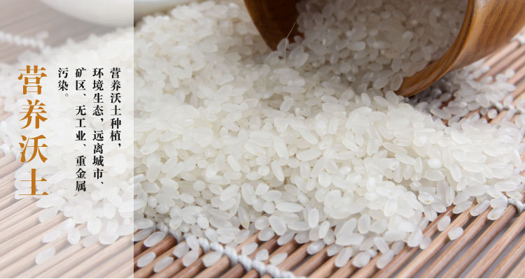 直销南粳9108水稻种子 南粳香米 茉莉清香 江苏好吃大米